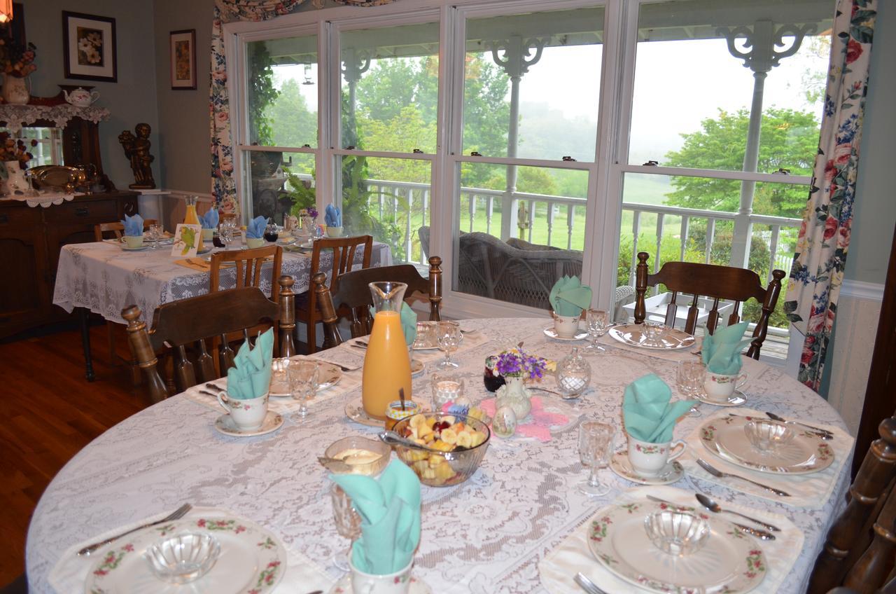 سيفيرفيل Blue Mountain Mist Country Inn المظهر الخارجي الصورة